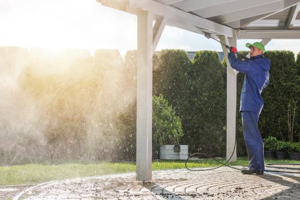 Best Sidewalk and Walkway Cleaning  in Vernon, AL