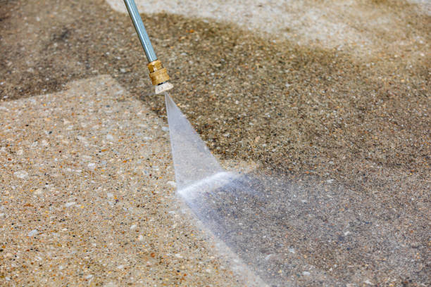 Animal Enclosure Cleaning in Vernon, AL