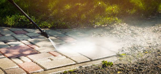 Best House Exterior Washing  in Vernon, AL