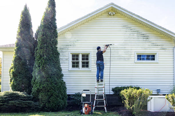 Trusted Vernon, AL Pressure Washing Experts